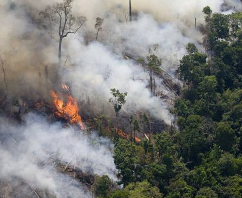 Pesquisadores comprovam que fumaça das queimadas da Amazônia pode causar câncer