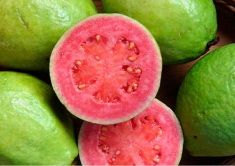 Ótimo alimento para grávidas, conheça os benefícios da goiaba