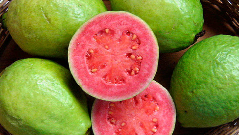 Ótimo alimento para grávidas, conheça os benefícios da goiaba