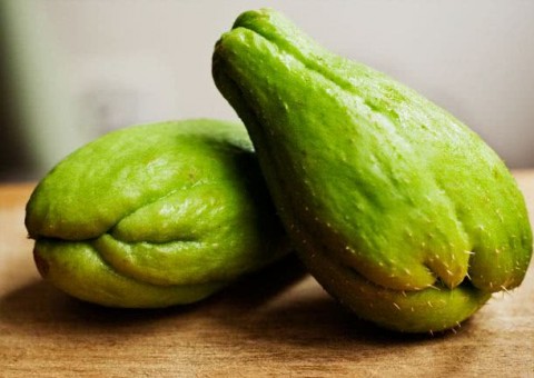 Tratamentos medicinais com chuchu combatem diabetes, pressão alta e rugas