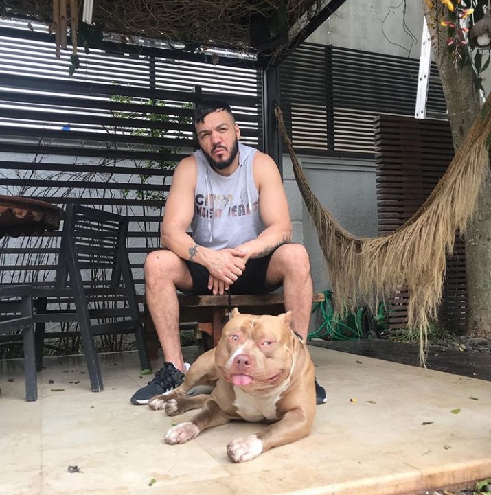 Belo é atacado pelos próprios cães e está ferido seriamente