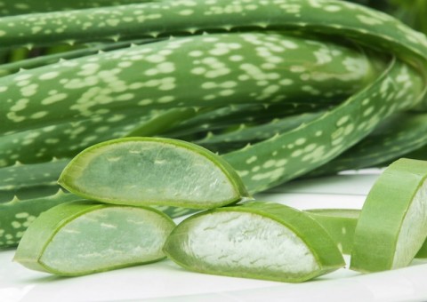 Receita caseira faz o cabelo crescer mais rápido e forte