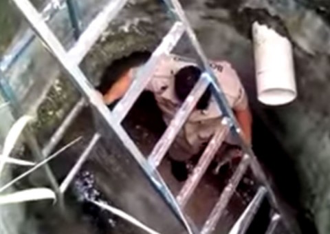 Bombeiros encaram esgoto macabro para resgatar filhote em Manaus