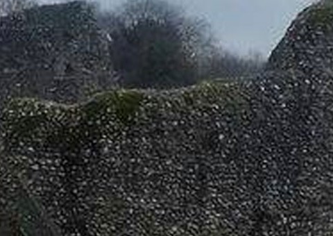 Homem tira fotos para tarefa de filho e flagra espírito sombrio