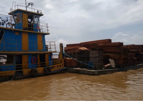 PF apreende carga de madeira ilegal avaliada em R$ 2 milhões no Amazonas