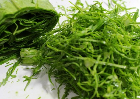 Couve é poderoso anti-inflamatório e cicatrizante