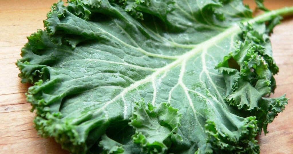 Couve é poderoso anti-inflamatório e cicatrizante