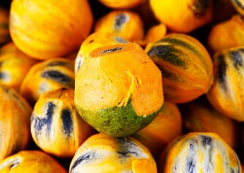 Tucumã combate envelhecimento e previne câncer