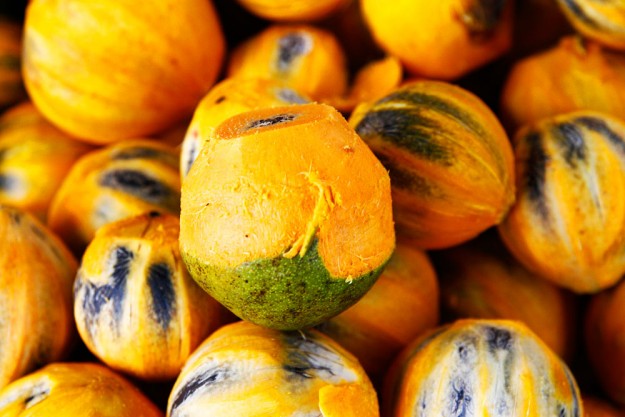 Tucumã combate envelhecimento e previne câncer