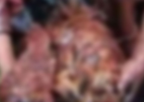 Homem é flagrado estuprando galinhas até a morte