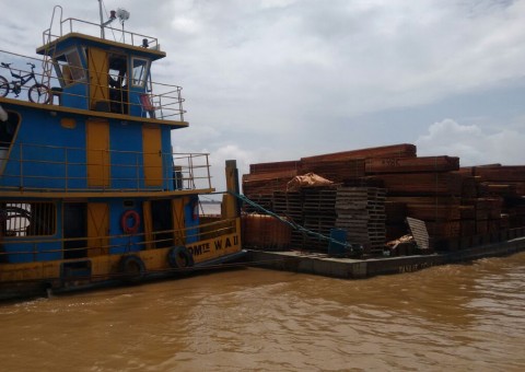 Grupo é preso em embarcação com madeira irregular e animais em extinção no Amazonas