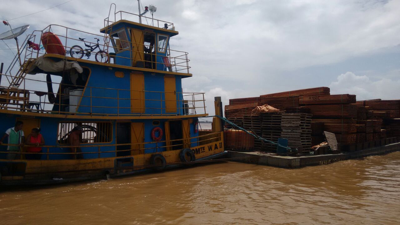 Grupo é preso em embarcação com madeira irregular e animais em extinção no Amazonas