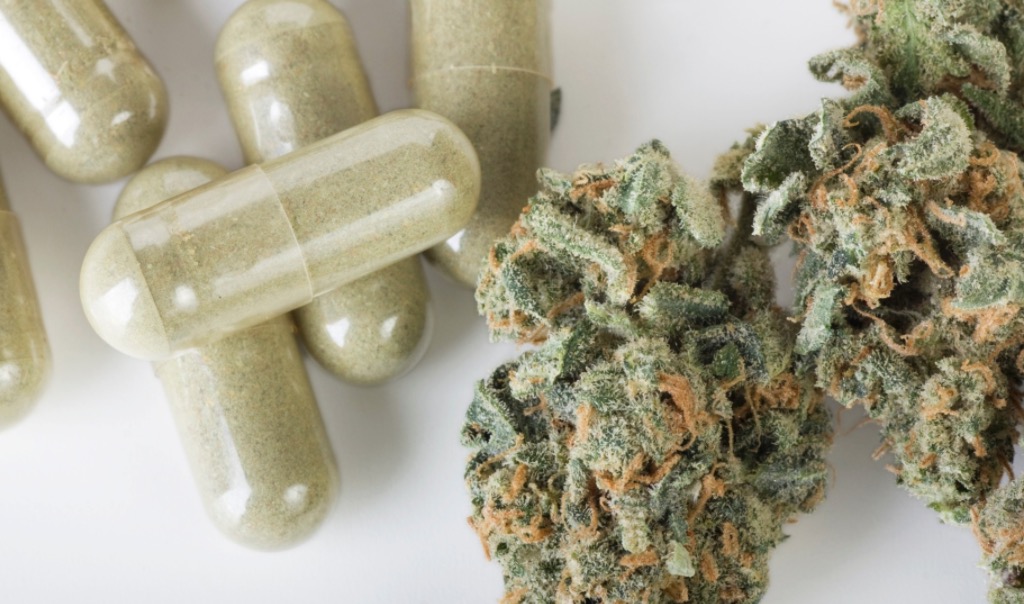 Maconha medicinal pode prevenir doenças de fígado, aponta estudo