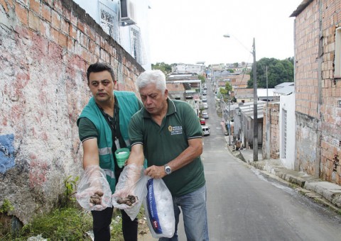 Cras e Creas recebem formação de brigada para combater caramujo africano 