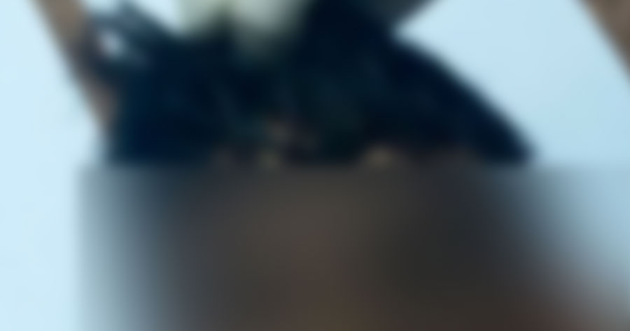 Pai encontra cabeça de filho desaparecido enquanto fazia buscas no Amazonas