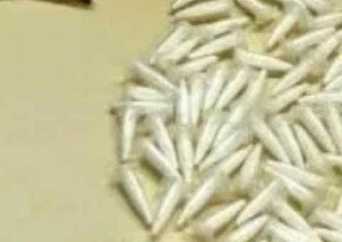 Brasileira é flagrada com 106 porções de cocaína no estômago em aeroporto da Tailândia