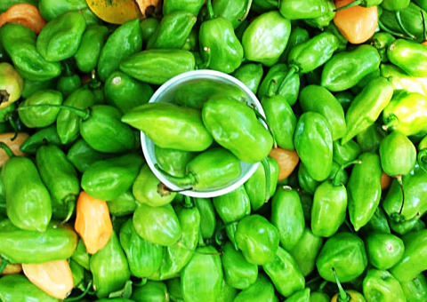 Pimenta de cheiro fortalece sistema imunológico e faz bem ao coração