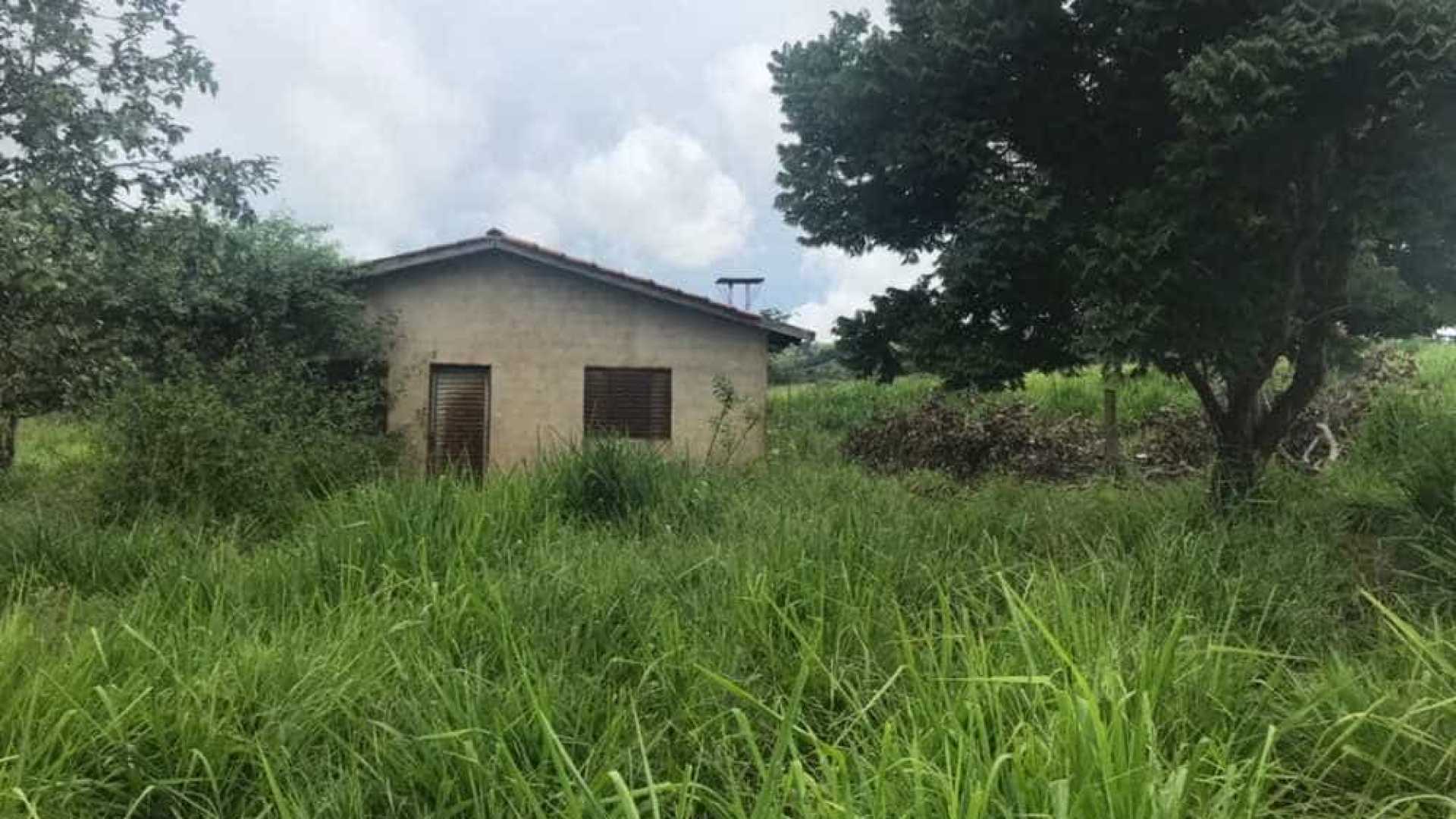 Mulher mata marido com machadada na cabeça e joga corpo em poço