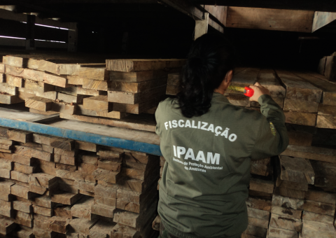 Operação apreende material ilegal e animais em extinção após abordar 30 embarcações no Amazonas