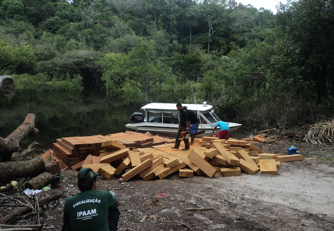 Operação apreende material ilegal e animais em extinção após abordar 30 embarcações no Amazonas