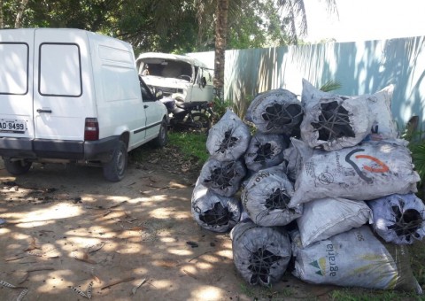 Carga de 24 sacos de carvão ilegal é apreendida dentro de veículo no Amazonas