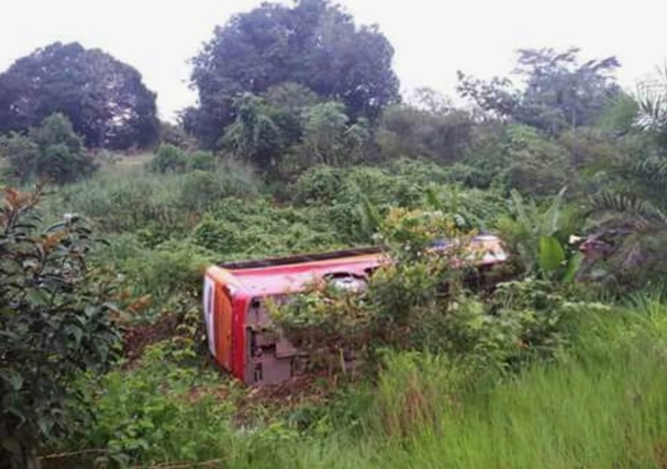 Motorista dorme no volante e ônibus tomba na BR-174