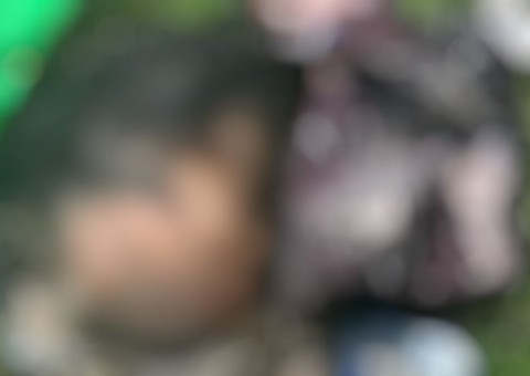 Crianças vão brincar no Carnaval e encontram cabeça de homem no Amazonas