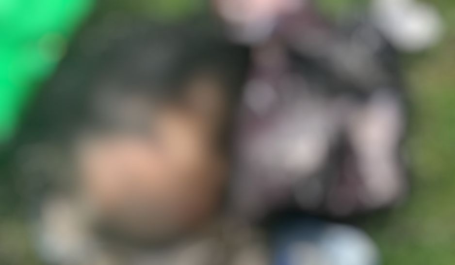 Crianças vão brincar no Carnaval e encontram cabeça de homem no Amazonas