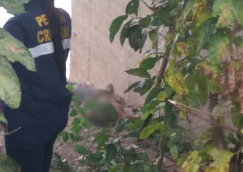 Corpo de adolescente degolado é encontrado boiando em igarapé de Manaus