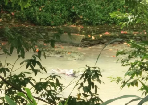 Corpo de mulher é encontrado boiando em igarapé do Parque dos Bilhares