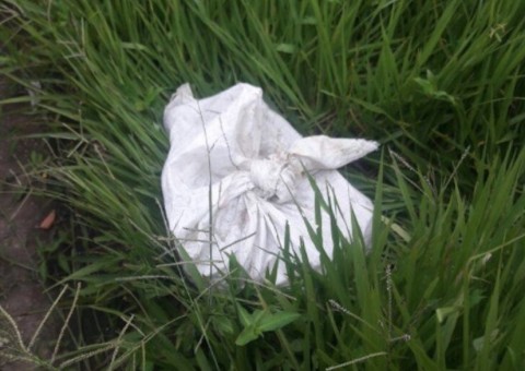 Preso grupo acusado de 'picotar' homem e jogar partes dentro de saco no Amazonas