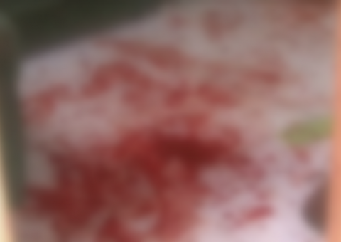 Após se conhecerem em manicômio, homem decapita esposa e cachorros de estimação