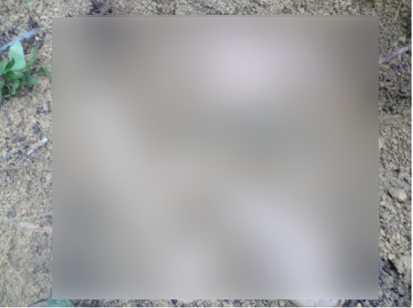 No Amazonas, grávida é morta enquanto dormia e marido é o principal suspeito do crime