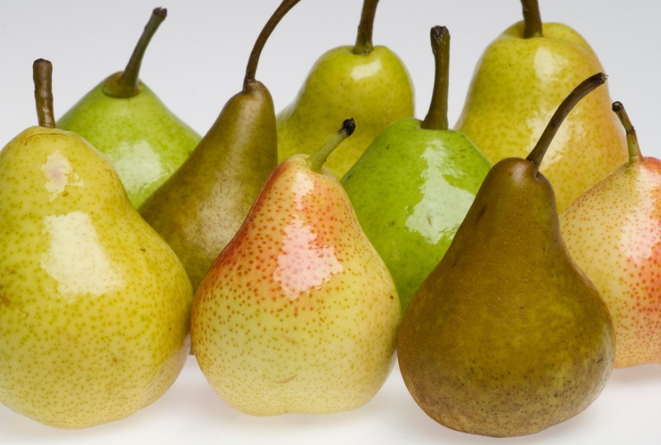 Pera controla diabetes e pressão alta e ainda fortalece os ossos