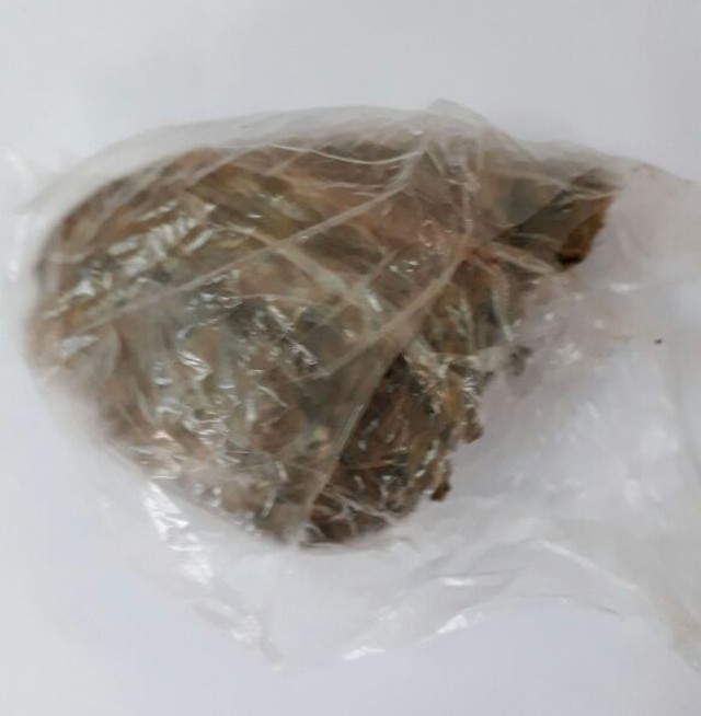 Mulher é presa tentando entrar com maconha no Ipat