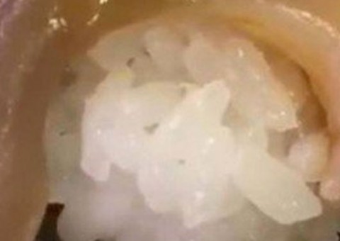  Cliente flagra peixe de sushi se mexendo antes de comer