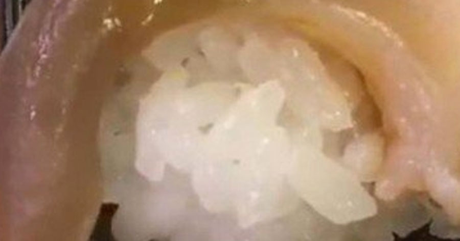  Cliente flagra peixe de sushi se mexendo antes de comer