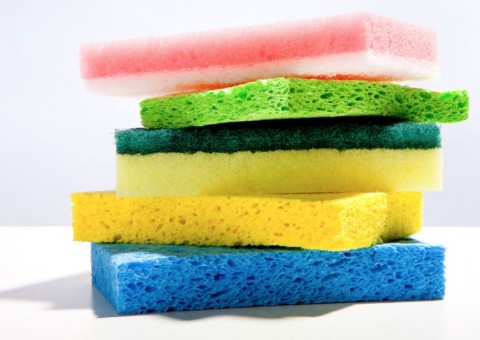 Esponja de lavar louça é o objeto mais sujo da sua casa. Saiba como higieniza-lá 