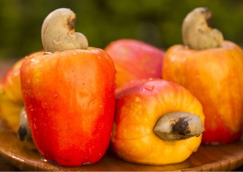 Os benefícios do caju para as grávidas são incríveis. Saiba mais