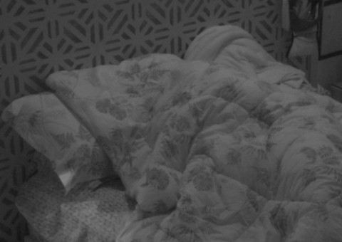 BBB18: Durante a festa, Gleici e Wagner movimentam edredom e ficam ofegantes