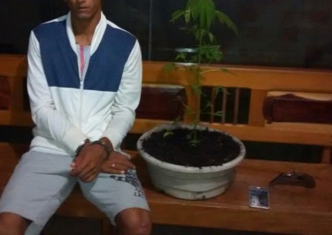 Homem é preso com pé de maconha após ser ‘dedurado’ por ciclista no Amazonas