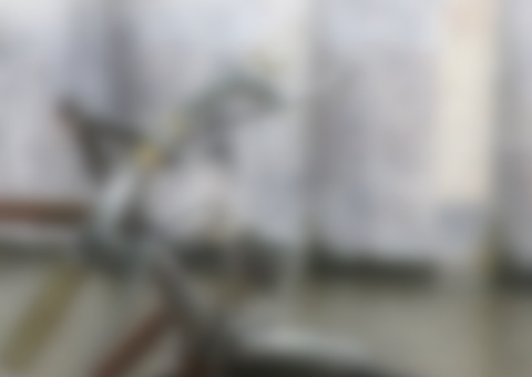 Homem é preso após espancar mãe até a morte com ferro de bicicleta