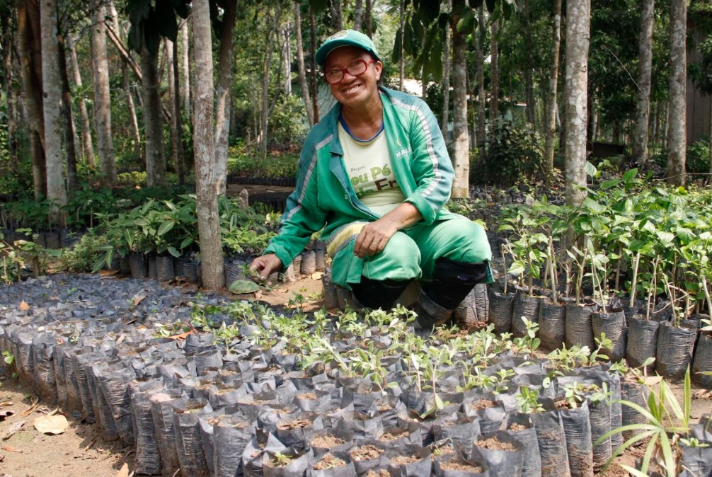  Minicurso ensina a produzir mudas no Parque Lagoa Senador Arthur Virgílio Filho