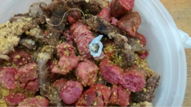 Mulher é detida após ser flagrada com linguiças recheadas de maconha na penitenciária