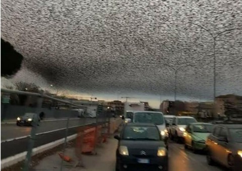 Que fenômeno é esse que transformou o céu de Roma em algo apocalítico?