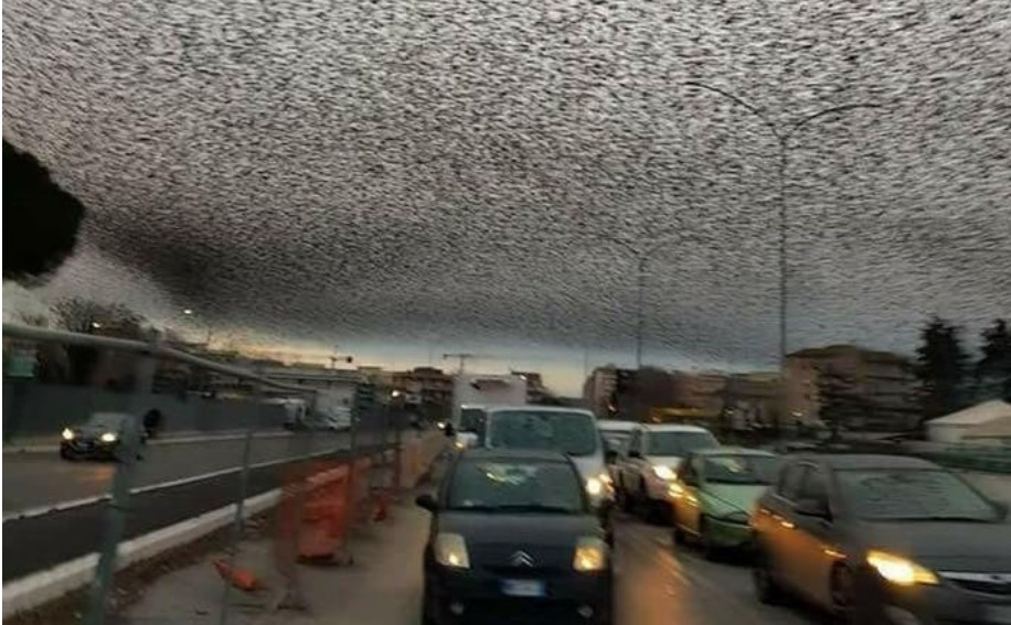 Que fenômeno é esse que transformou o céu de Roma em algo apocalítico?