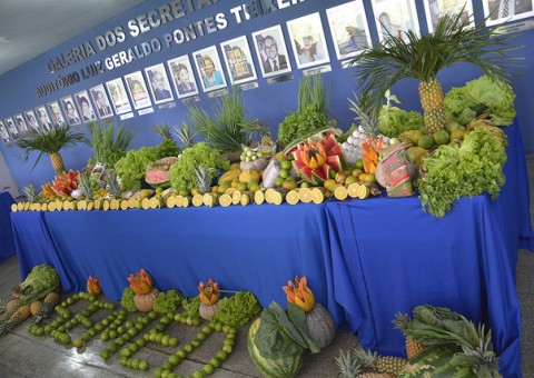 Prefeitura lança chamada pública de agricultura familiar para merenda escolar