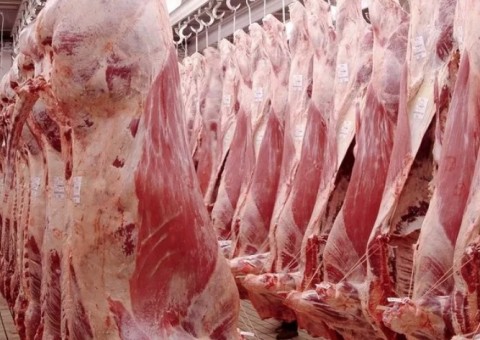 Ex-presidente da BRF é preso na 3ª fase da Carne Fraca, veja alvos de mandado de prisão