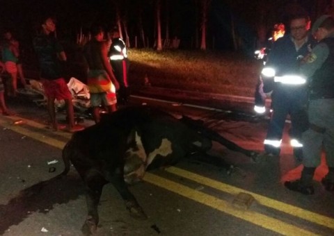 Acidente entre moto e vaca deixa um morto na BR-174