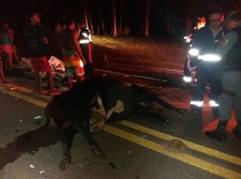 Acidente entre moto e vaca deixa um morto na BR-174